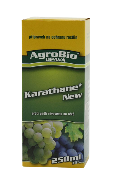 KARATHANE NEW 250 ml